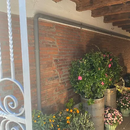 Il Fiore Nascosto * Bérgamo